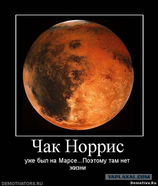 Давно Чака не вспоминали, можно умереть от этого