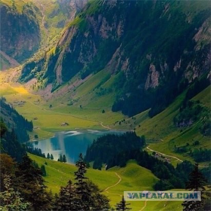 Больше, чем фото 6.