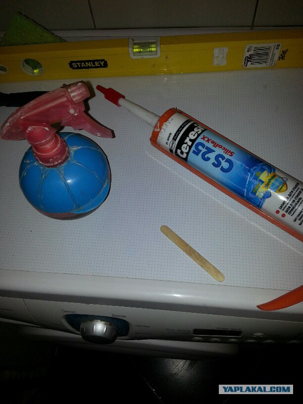 Боремся с плесенью