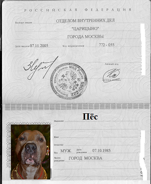 Собакочетверг же, ау!