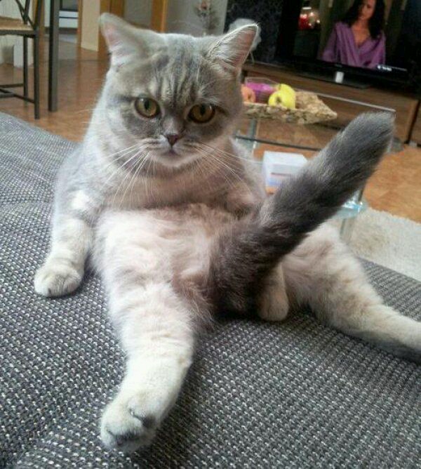 Абсурдный юмор ч.7