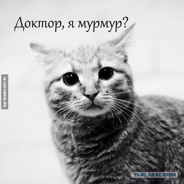 Изучение состояния психики испытуемого и выявление у него всевозможных отклонений и нарушений