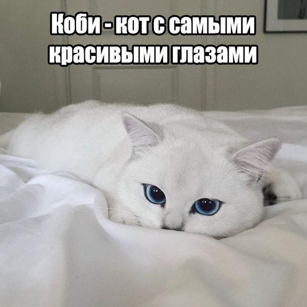 Картинки на пятницу