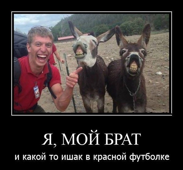 Картинки из сети, бессмысленные и беспощадные