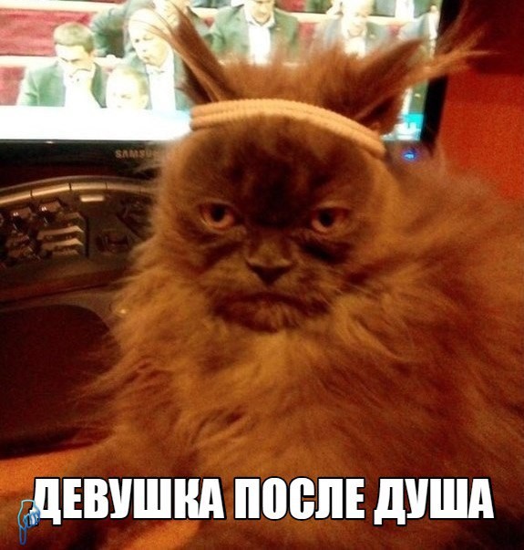 Забавные картинки из Сети