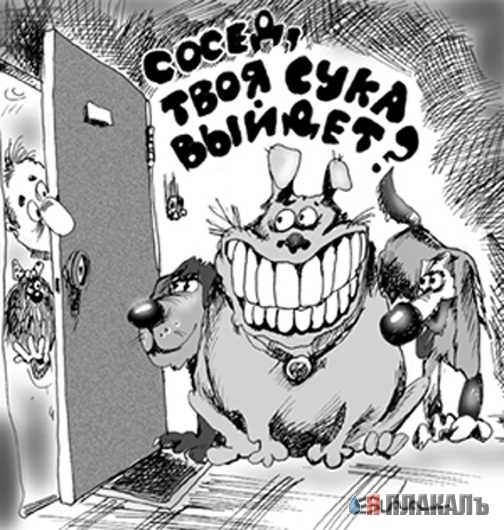 КАРИКАТУРЫ. Прикольные карикатуры