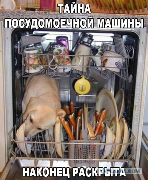 Картинки на пятницу