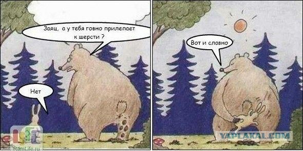 Весёлые картинки