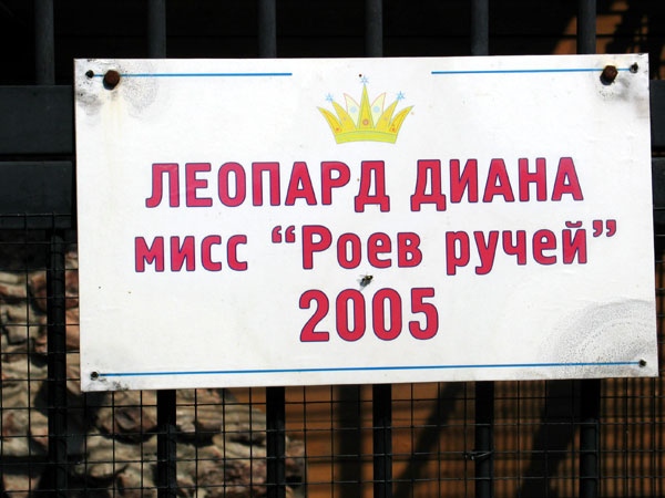 ВЫВЕСКИ, ТАБЛИЧКИ. Смешные и прикольные