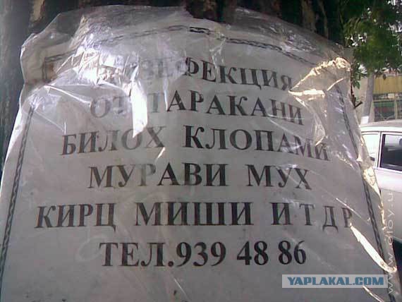 Искрись, мышка, и большая и маленькая