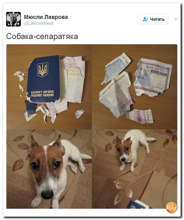 Юмористическо-саркастическая подборка материалов об обстановке в Мире