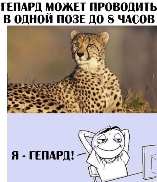 Баянистая годнота - 2