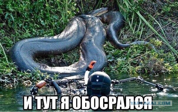 Минутка лёгкой наркомании и деградации