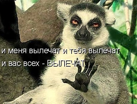 Трамп – последний президент США. Так написано в очень старой, загадочной фантастической книге