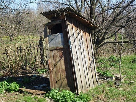О мусанги в трёх словах