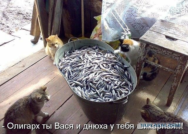 Рыбацкие приколы