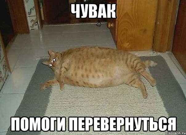 От работы тяжёлой не ной, пост с картинками для отдыха открой!