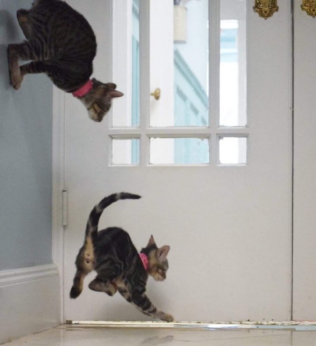 Фото, которые можно было сделать только в один момент, и ни секундой позже.
