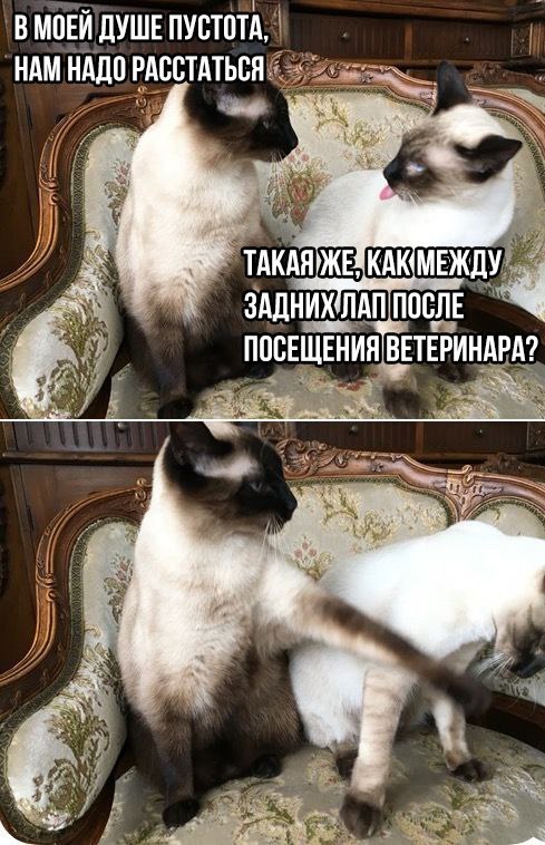 Не очень адекватный юмор