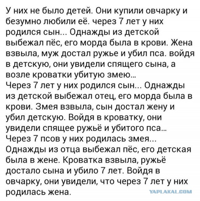 Да они же там все наркоманы!