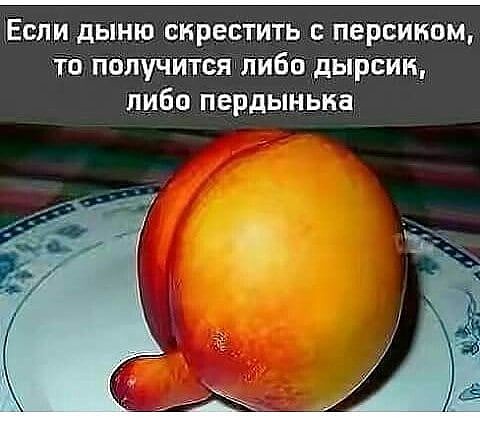 Перлы