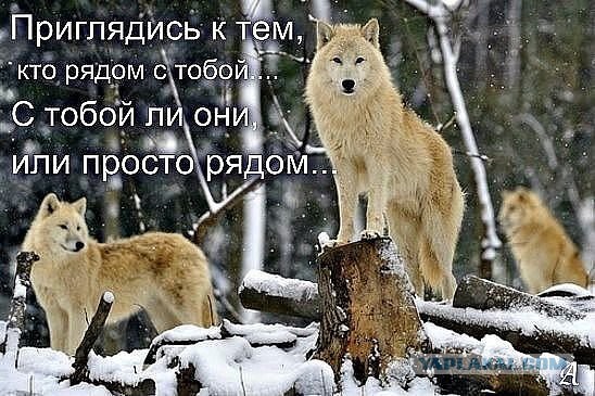 Одиночество