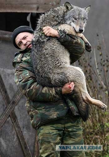 Наш Мурчик !