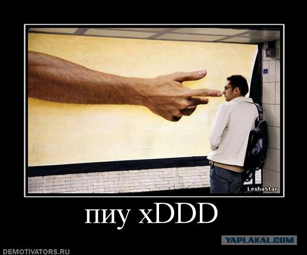 Получи по морде лапой!