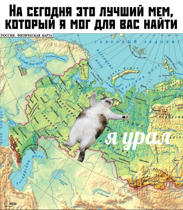 Картинки с надписями, истории и анекдоты 03.09.19.