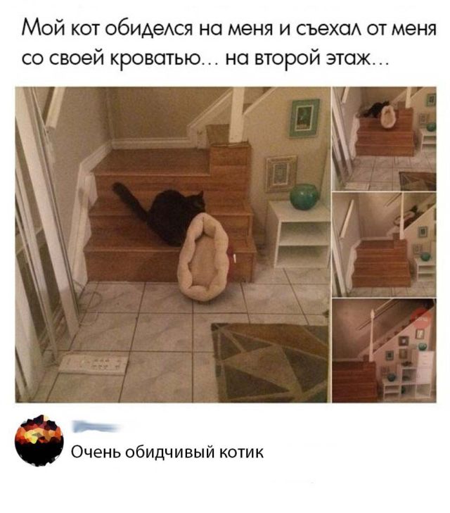 Картинки, которые я НЕ видел на портале