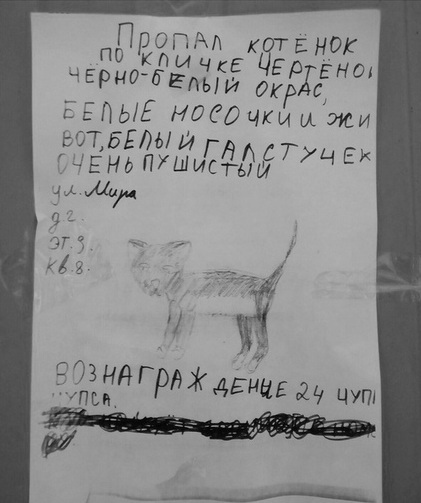 Картинки на воскресный день
