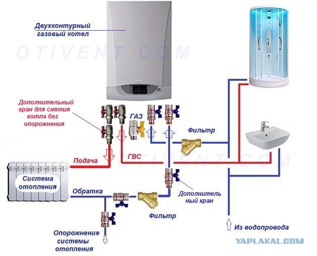 Студенты крутятся, лавэха мутится