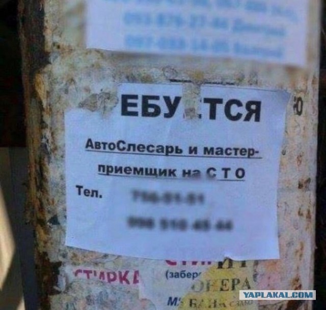 Чуток картинок! 22.12.19