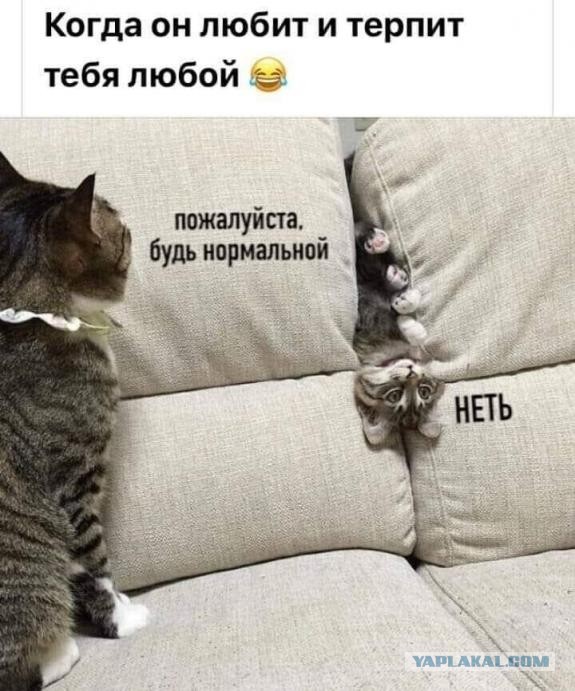 Как я искал интима...
