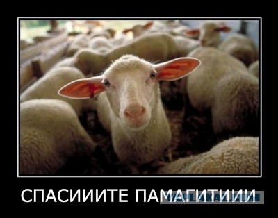 Белорусов заставляют отдыхать на ГОА