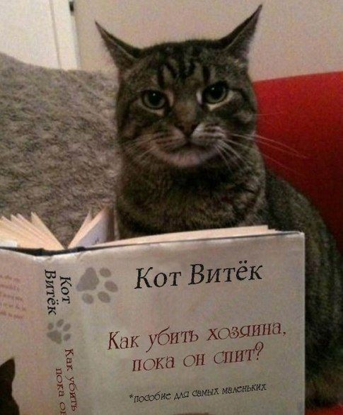 Юмор из соцсетей 24.07.20