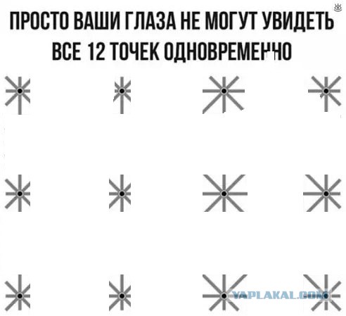 Фотки и картинки: юморные и красивые, забавные и милые 28.09.20