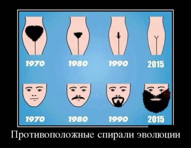 Фотки и картинки: юморные и красивые, забавные и милые 03.10.20