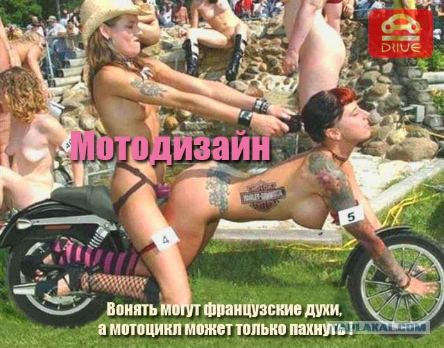 Фотожаба: ТВ программа