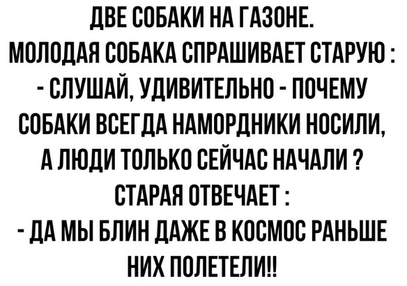Немного картинок для настроения 06.10.20