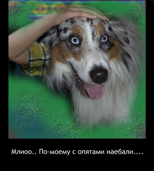 Псина
