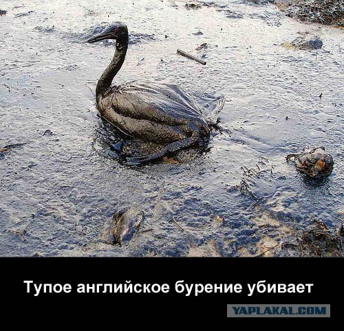Фотожаба: Бурение убивает