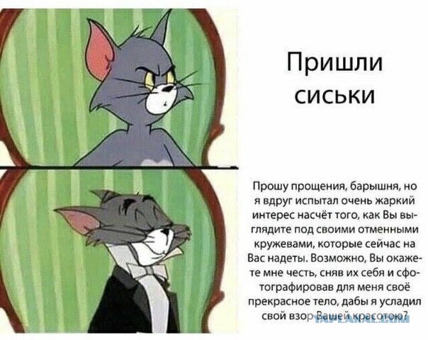 Бредзона 17.11.20