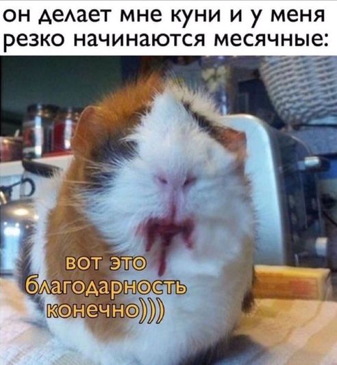 Решено!
