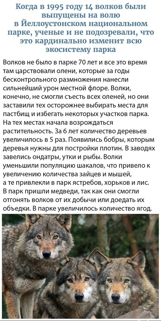 Картинки с надписями и всякие жизненные фразы 16.1.21