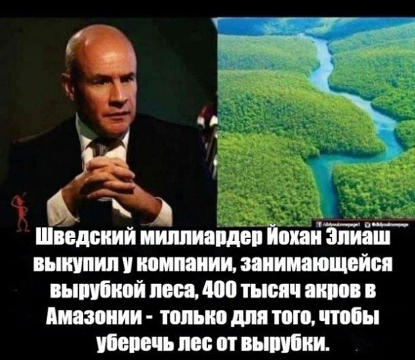 Так себе картинки 11.08.21