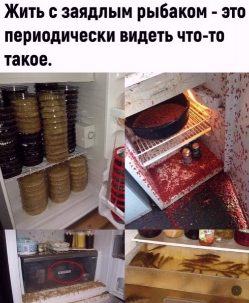 Так себе картинки 15.08.21