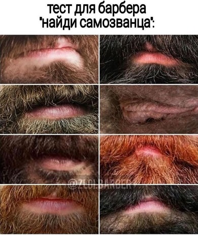 Картинки и мемы для настроения 16.09.2021