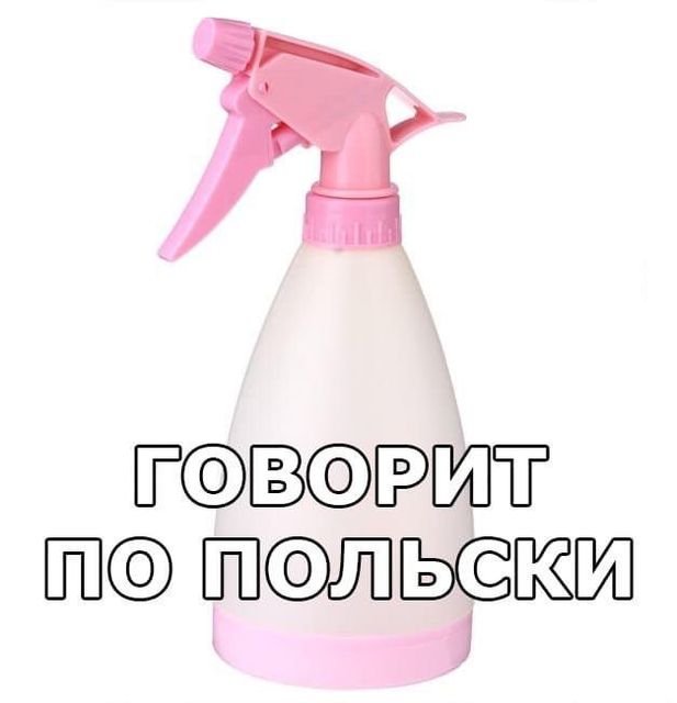 Мигранты на белорусской границе рассказали, что готовы умереть там, но не вернутся домой в Ирак