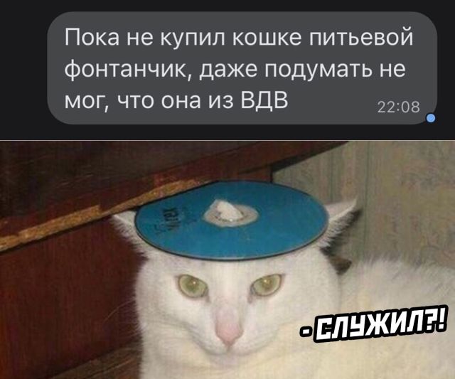 Так себе картинки 12.02.22